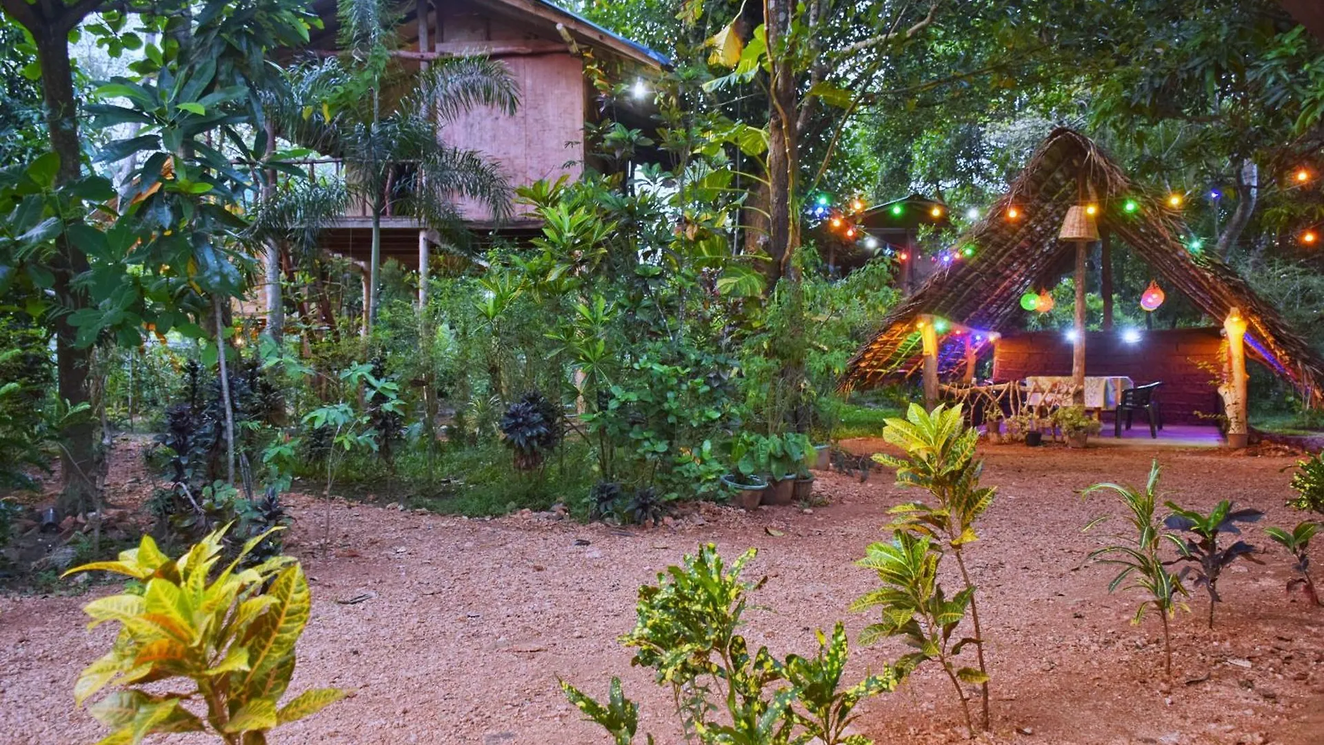 Akash Treehouse Appartement Sigiriya Sri Lanka