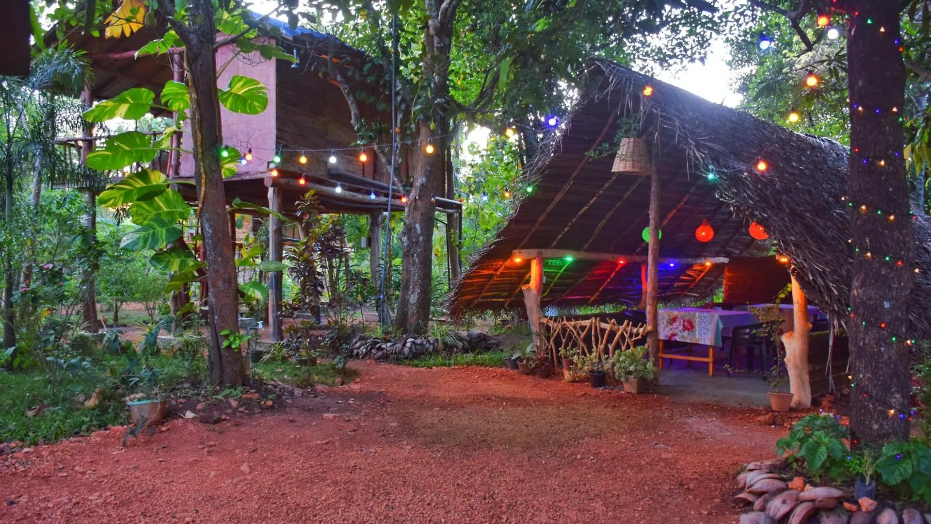 Akash Treehouse Appartement Sigiriya Accommodatie bij particulieren