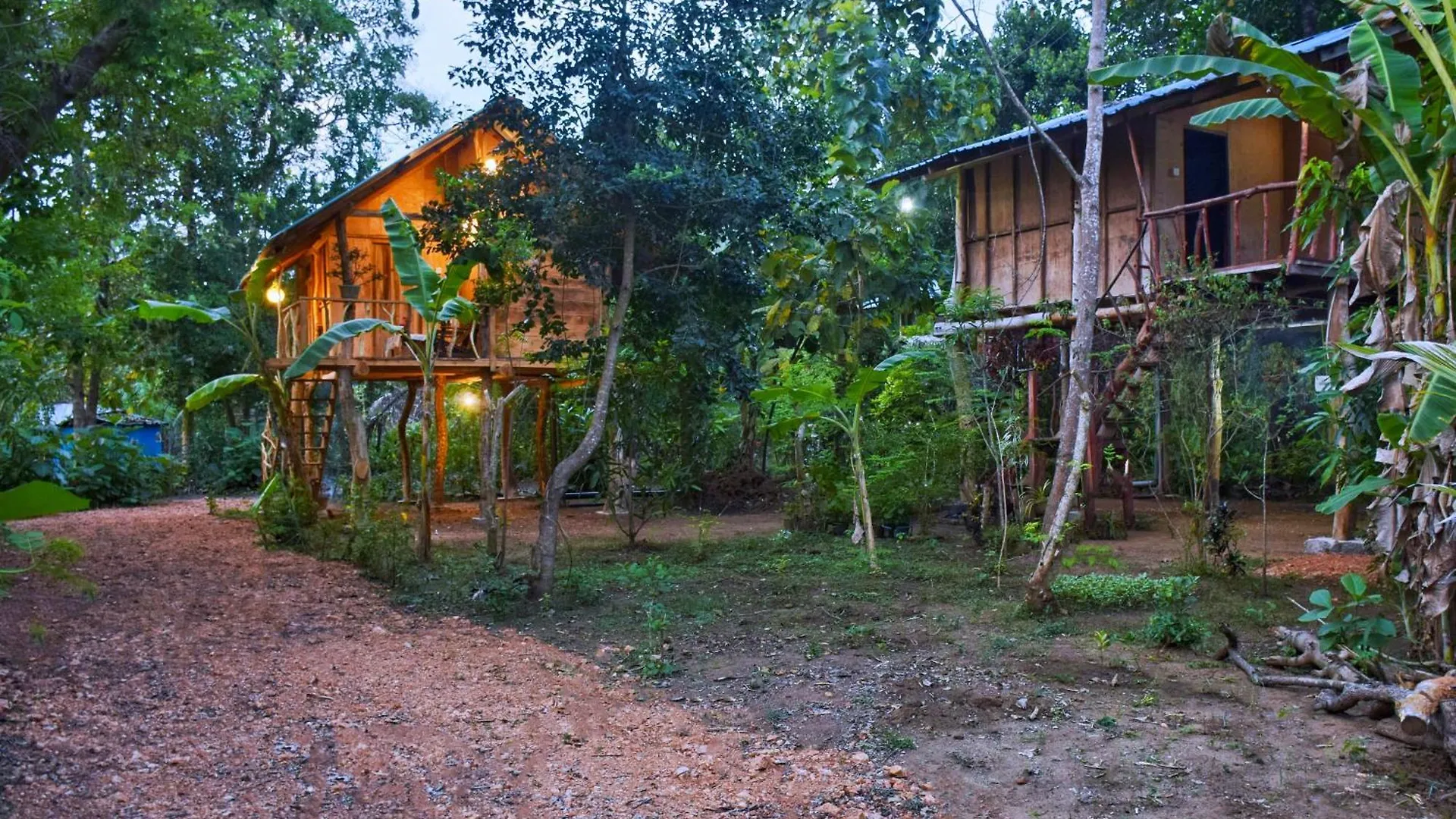 Accommodatie bij particulieren Akash Treehouse Appartement Sigiriya