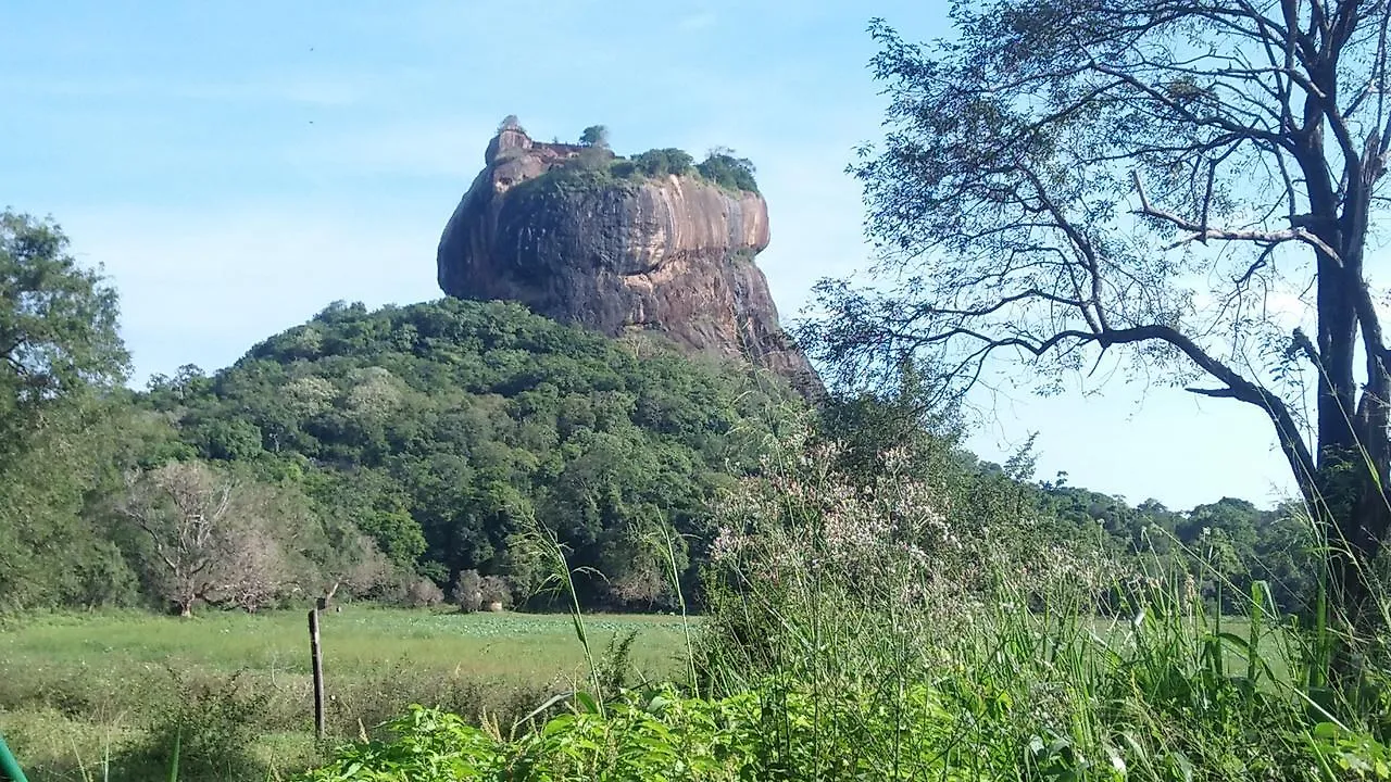 Akash Treehouse Appartement Sigiriya