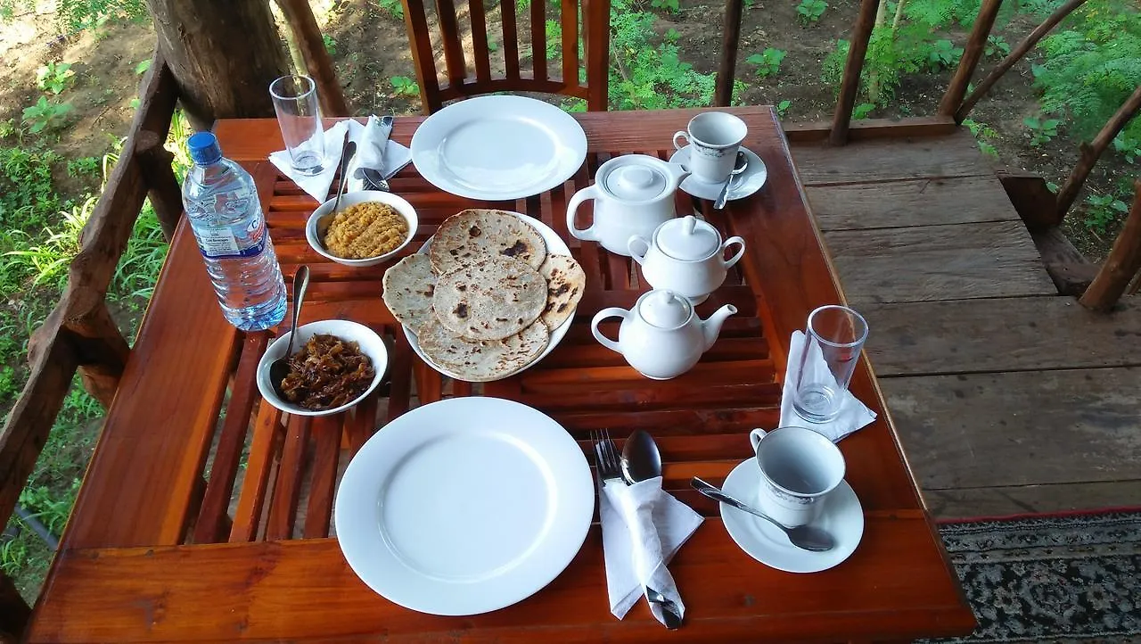 Akash Treehouse Appartement Sigiriya Sri Lanka